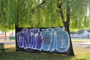 10295102_395799643891506_7068162394953798531_o