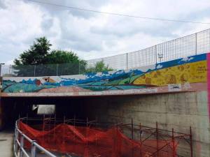 10479149_703405663028021_2395485781987666491_n